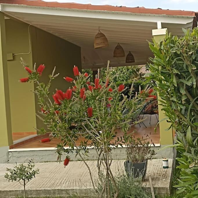 Mnf Country House Ágios Geórgios Extérieur photo